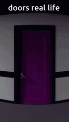 Rush Real Life Doors Meme GIF