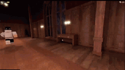 Rush Speedy Shaky First Person Shot Doors GIF