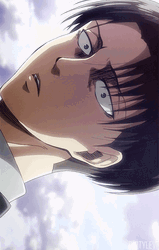 Ruthless Soldier Levi Ackerman GIF