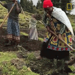 Rwanda Family Planting GIF