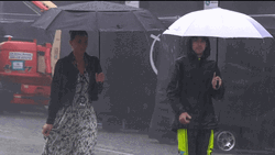 Ryan Blaney Thumbs Up Pouring Rain GIF
