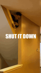 Ryan Goulding Shut It Down GIF