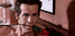 Ryan Reynolds Biting Rose GIF