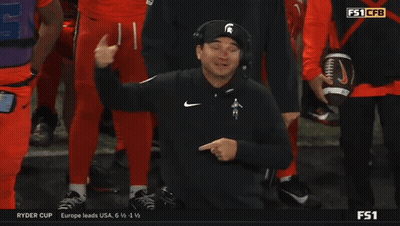 Ryder Cup Friday Afternoon Fourball Is Being Played GIF