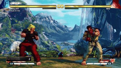 Ryu And Milordy7 Fighting GIF