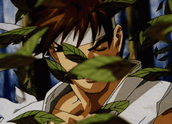 Ryu Sense Falling Leaves GIF