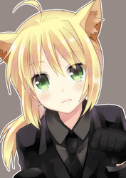Saber Artoria Pendragon Fate Stay Kitty GIF