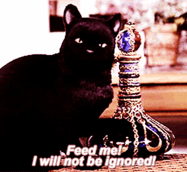 Sabrina The Teenage Witch Salem Saberhagen GIF