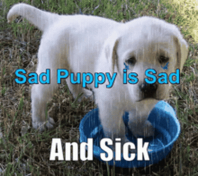 Sad And Sick Puppy With Bowl Of Water GIF