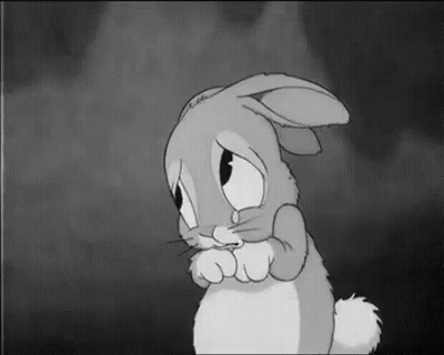 Sad Black And White Bunny In Dark Room GIF