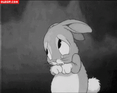 Sad Bunny Rabbit In Black And White GIF
