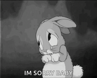 Sad Bunny Rabbit Saying Im Sorry Baby GIF