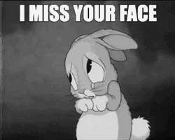 Sad Bunny Said I Miss You Already GIF