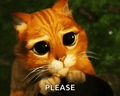 Sad Cat Asking Please GIF