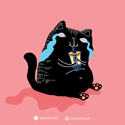 Sad Cat Drinking Boba Tea GIF