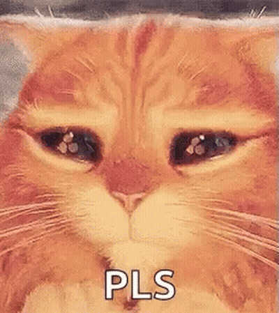 Sad Cat Face Saying Pls GIF