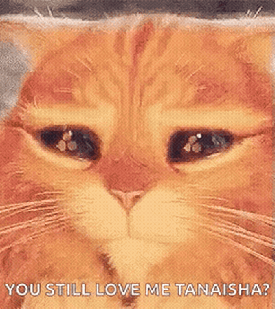 Sad Cat Face Saying You Still Love Me Tanaisha GIF