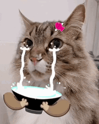 Sad Cat Funny Crying Emoji Bowl GIF