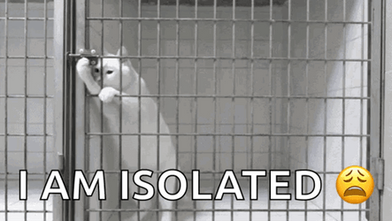 Sad Cat I Am Isolated In Jail GIF