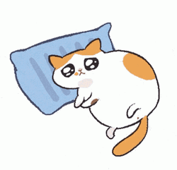 Sad Cat Laying Down On A Pillow  GIF