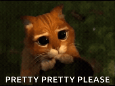 Sad Cat Looking At Camera Pretty Please GIF