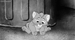 Sad Cat Oliver Thrown Away GIF