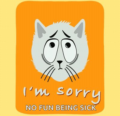 Sad Cat Saying I'm Sorry No Fun Being Sick GIF