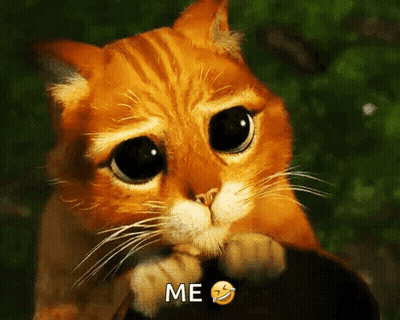Sad Cat Saying Me GIF
