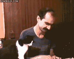 Sad Cat With A Crying Guy  GIF