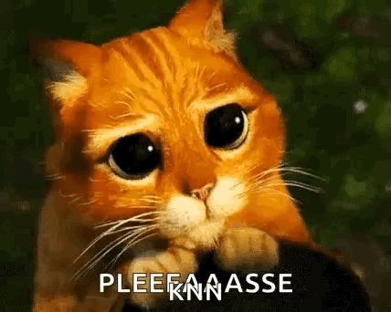 Sad Cat With Pleeknasse GIF