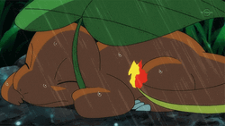 Sad Charmander In A Storm  GIF