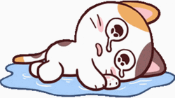 Sad Crying Meong Cat In Pool Of Tears GIF