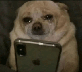 Sad Dog Sad Face Meme GIF