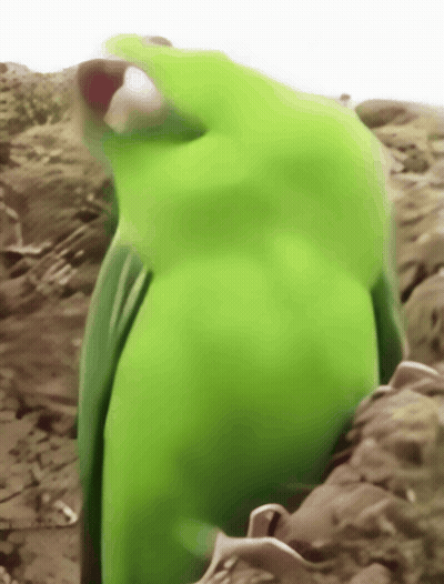 Sad Duck Drawing GIF