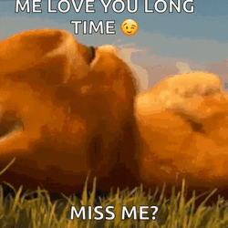 Sad Face GIF