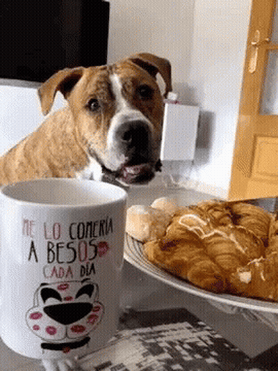 Sad Face Mug On Wooden Desk GIF