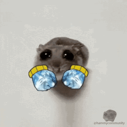 Sad Hamster GIFs Download Share GIFDB