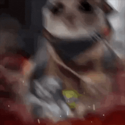 Sad Hamster Carrying Cute Kittens GIF