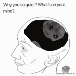 Sad Hamster In Human Mind GIF