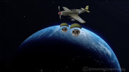 Sad Hamster In The Outer Space GIF