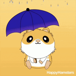 Sad Hamster On Rainy Monday GIF