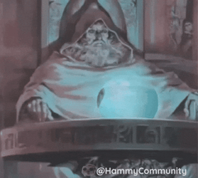 Sad Hamster Roaming Around GIF