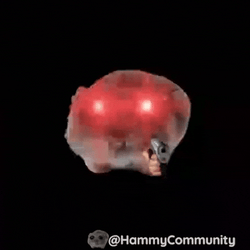 Sad Hamster Shooting GIF