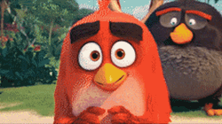 Sad Isolated Angry Birds Red  GIF