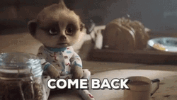 Sad Meerkat Oleg Come Back GIF