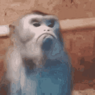 Sad Monkey
