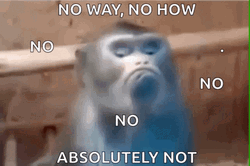 Sad Monkey Now Way No How Absolutely Not GIF