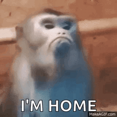 Sad Monkey Saying I'm Home GIF