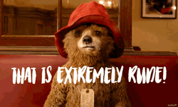 Sad Paddington Bear How Rude GIF