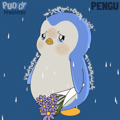 Sad Penguin With Purple Flowers In Rain Pengu GIF